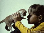 (animated)