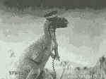 (animated)