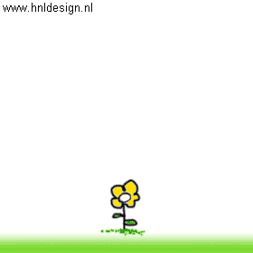 (animated)