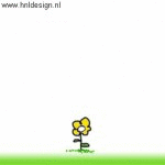 (animated)