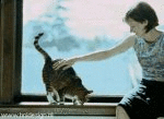 (animated)