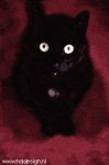 (animated)