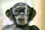 Smoking Monkey (animated)