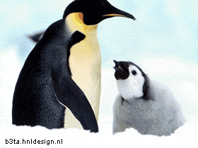 Pecking Penguin (animated)