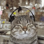 The Record Store Cats