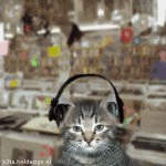 The Record Store Cats