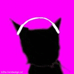 Apple cat (animated)