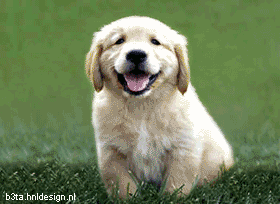 Puppy (animated)