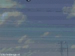 Dumb Bird (animated)