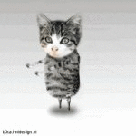 Fluffy tiem! (animated)