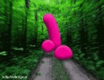 Lost in a forest (animated)
