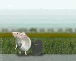 aww... (animated)