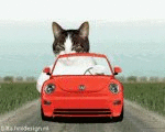 Going for a drive in this lovely weather (animated)