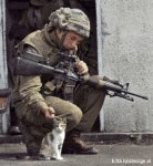 War and Fluff (animated)