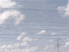 Spotted Trainduck (animated)