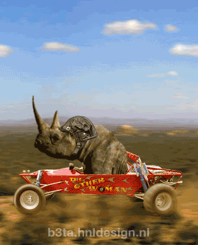 RhinoBuggy (animated)
