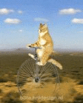 Visible Bike (animated)