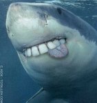 ROFL, oh hai!