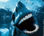 MUHAHAHA LOLSHARK!
