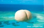 The Great Derriere Reef